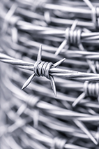 Barbed Wires
