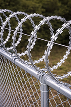 Concertina coil Fence