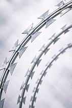Flat Razor Wire