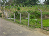 Estate Fence