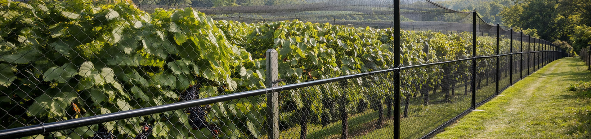 Agricultural plot fence