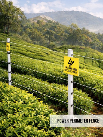 Power perimeter fence on agricultural plots