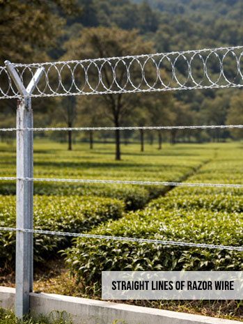 Horizontal straight lines of razor wire